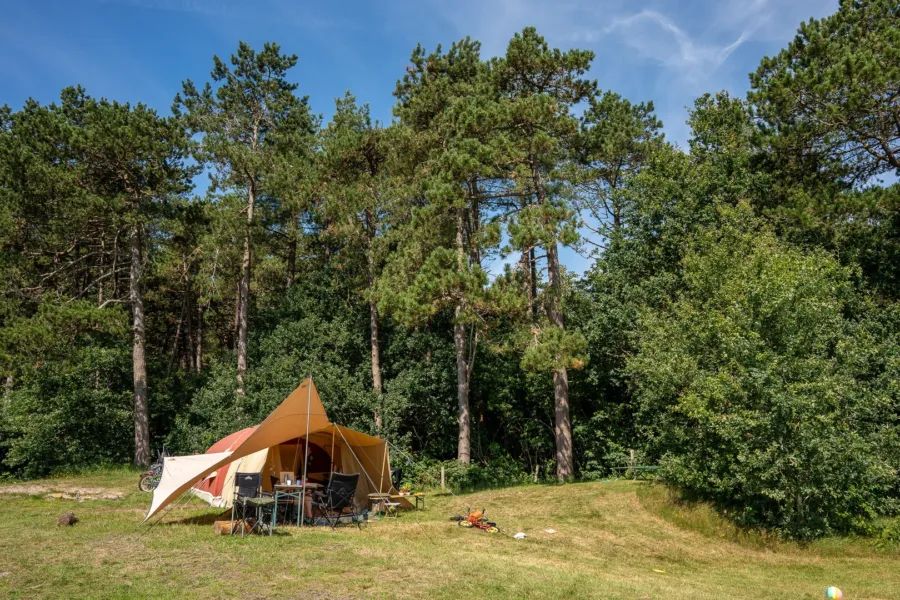 Tent kamperen Duinoord Ameland