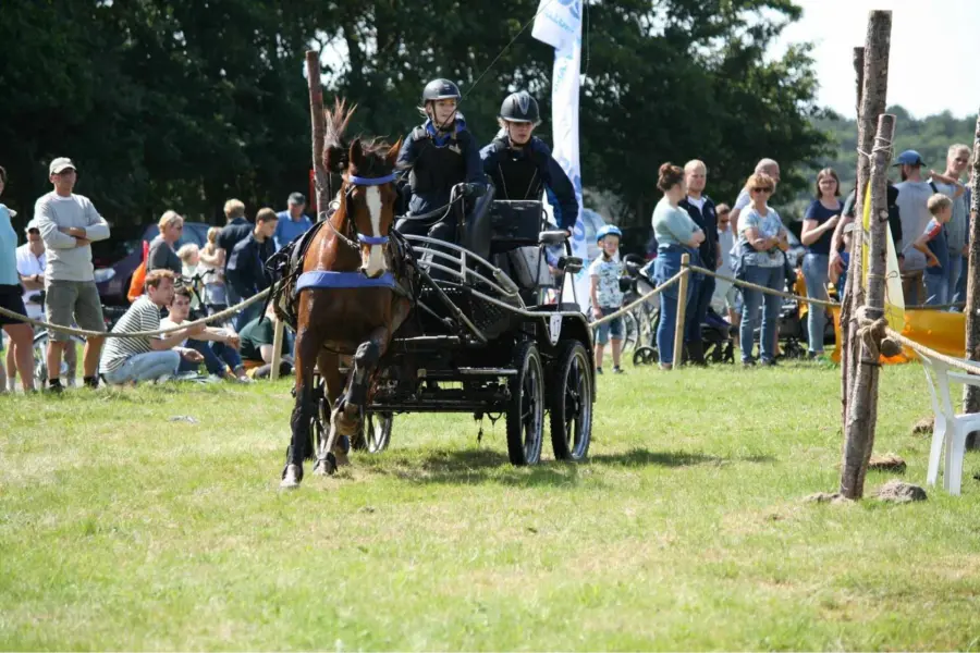 Paarden marathon ameland hindernis
