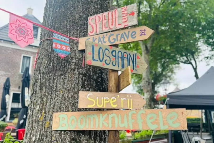 Naseumere hollum activiteiten